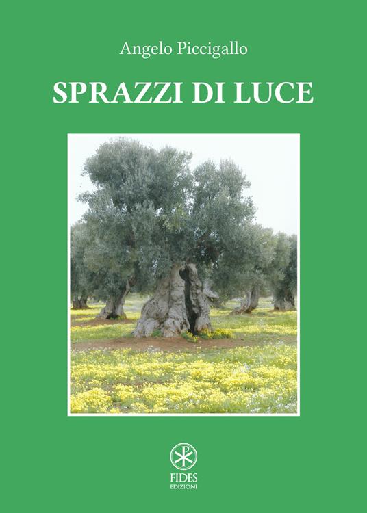 Sprazzi di luce - Angelo Piccigallo - copertina