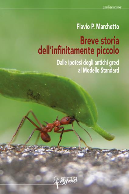 Breve storia dell'infinitamente piccolo. Vol. 1: Dalle ipotesi degli antichi greci al modello standard - Flavio P. Marchetto - copertina