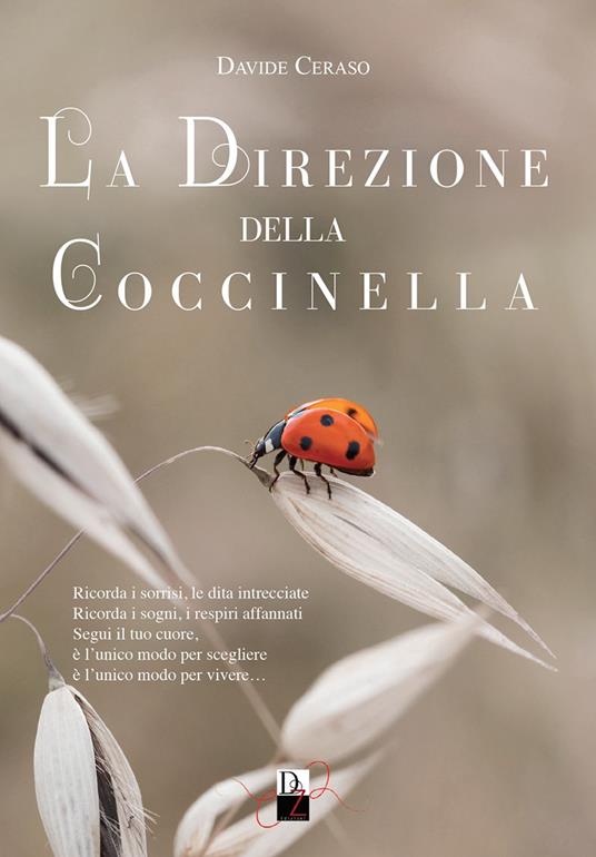 La direzione della coccinella - Davide Ceraso - copertina