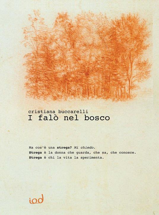 I falò nel bosco - Cristiana Buccarelli - copertina