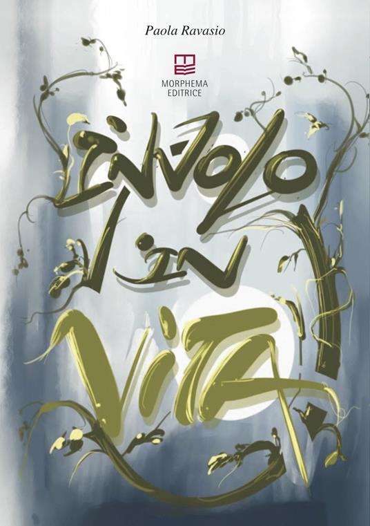 In volo in vita - Paola Ravasio - copertina