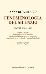 Fenomenologia del silenzio