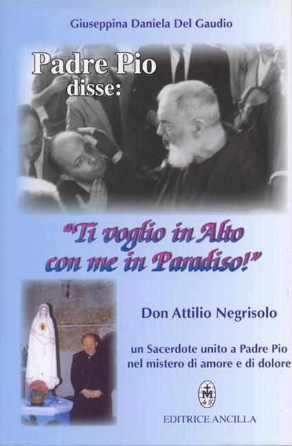 Padre Pio disse: «ti voglio in alto con me in paradiso!». Don Attilio Negrisolo, un sacerdote unito a padre Pio nel mistero di amore e di dolore - Giuseppina Daniela Del Gaudio - copertina