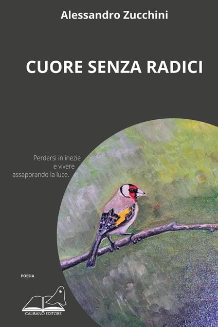 Cuore senza radici - Alessandro Zucchini - copertina