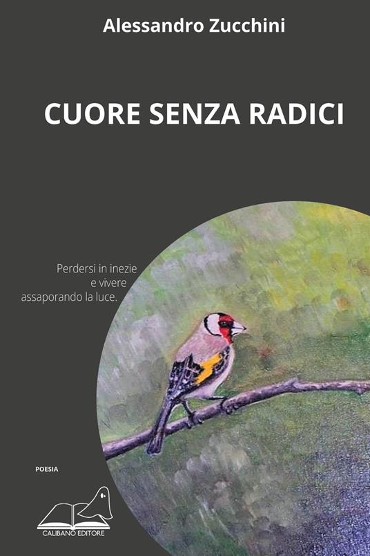 Cuore senza radici - Alessandro Zucchini - copertina