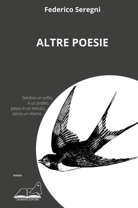 Altre poesie - Federico Seregni - copertina