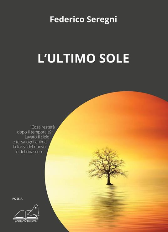L' ultimo sole - Federico Seregni - copertina