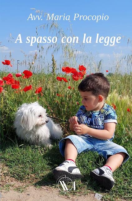 A spasso con la legge - Maria Procopio - copertina