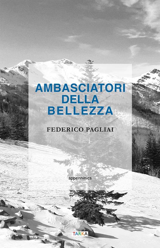 Ambasciatori della bellezza - Federico Pagliai - copertina
