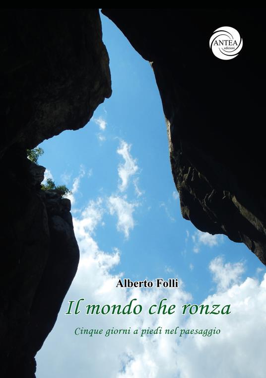 Il mondo che ronza. Cinque giorni a piedi nel paesaggio - Alberto Folli - copertina