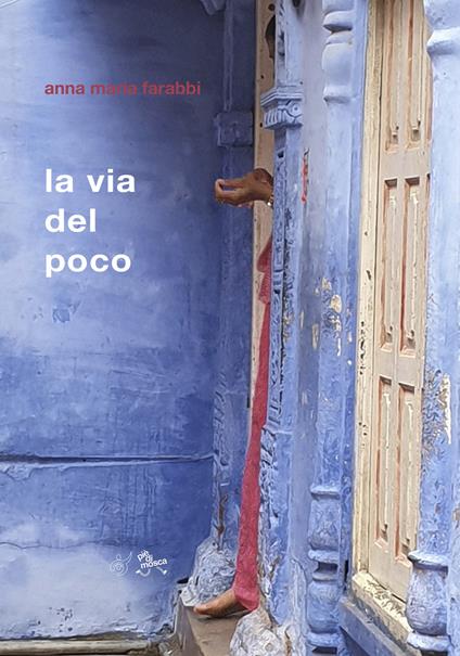 La via del poco - Anna Maria Farabbi - copertina