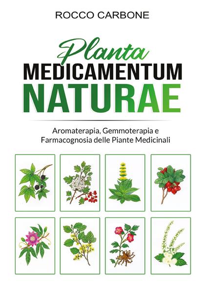 Planta medicamentum naturae. Aromaterapia, gemmoterapia e fitoterapia - Rocco Carbone - copertina