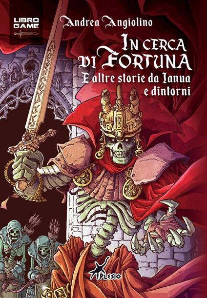 In cerca di fortuna. E altre storie di Ianua e dintorni - Andrea Angiolino - copertina