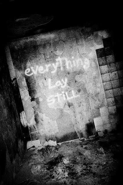 Everything lay still. Ediz. illustrata - Fábio Miguel Roque - copertina