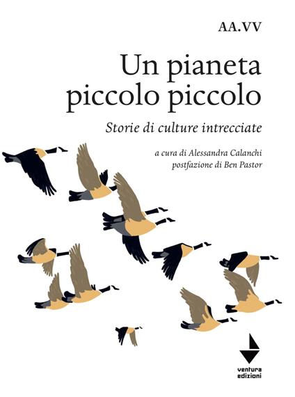 Un pianeta piccolo piccolo. Nuova ediz. - copertina