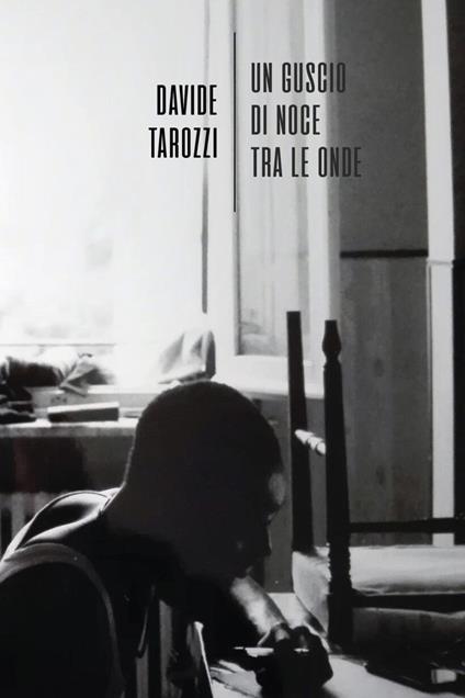 Un guscio di noce tra le onde - Davide Tarozzi - copertina