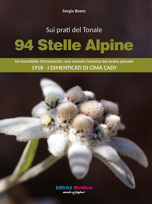 Sui prati del Tonale 94 stelle alpine. Un incredibile ritrovamento, una vicenda riemersa dal passato 1918. I dimenticati di Cima Cady - Sergio Boem - copertina