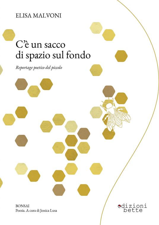 C'è un sacco di spazio sul fondo. Reportage poetico del piccolo - Elisa Malvoni - copertina