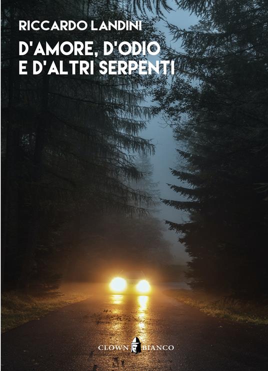 D'amore, d'odio e d'altri serpenti - Riccardo Landini - copertina