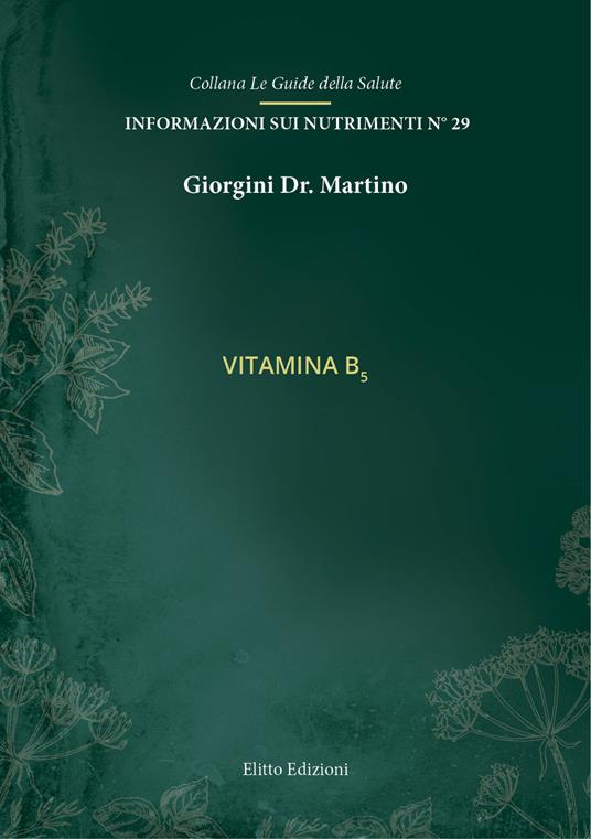 Vitamina B5 - Martino Giorgini - copertina