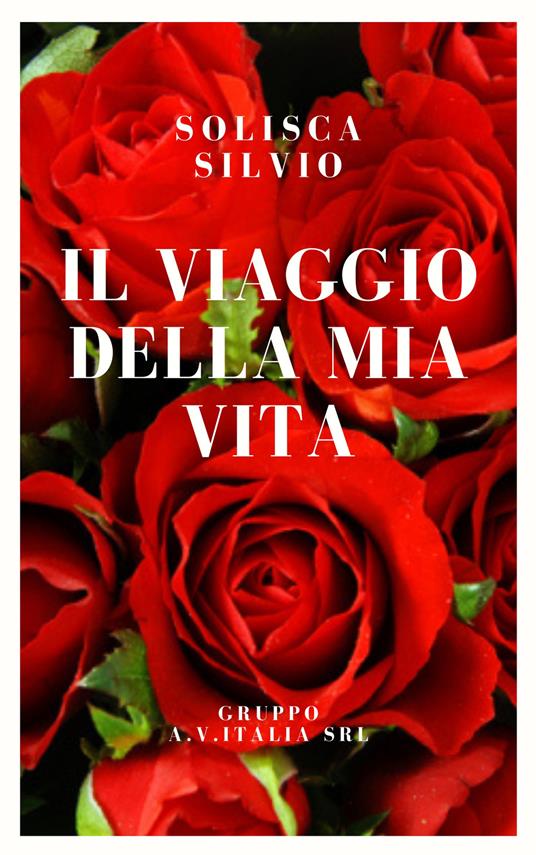 Il viaggio della mia vita - Solisca silvio - copertina