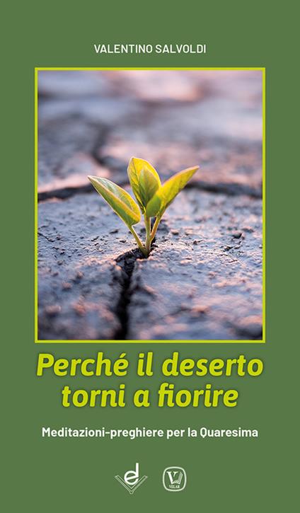 Perché il deserto torni a fiorire. Meditazioni-preghiere per la Quaresima - Valentino Salvoldi - copertina