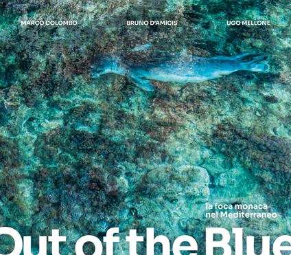 Out of the blue. La foca monaca nel Mediterraneo. Ediz. italiana e inglese - Marco Colombo,Bruno D'Amicis,Ugo Mellone - copertina