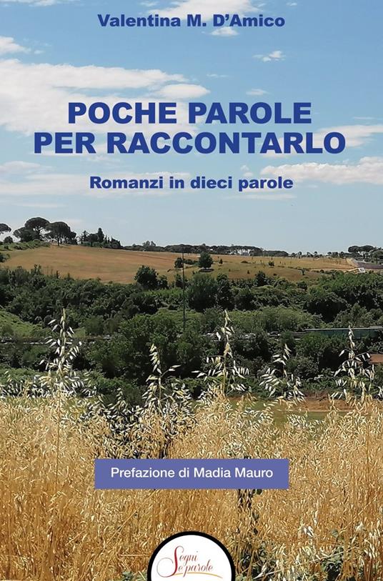 Poche parole per raccontarlo. Romanzi in dieci parole - Valentina M. D'Amico - copertina