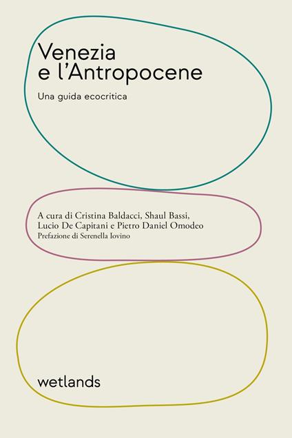 Venezia e l'Antropocene. Una guida ecocritica - Cristina Baldacci,Shaul Bassi,Lucio De Capitani,Pietro Daniel Omodeo - ebook