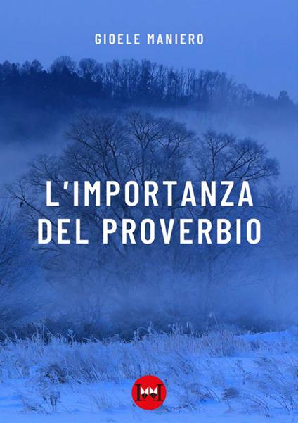 L'importanza del proverbio - Gioele Maniero - copertina