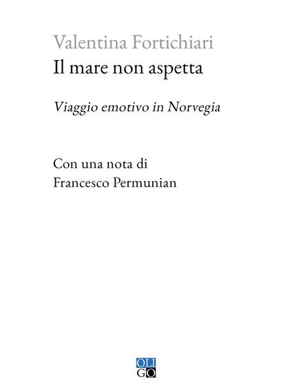 Il mare non aspetta. Viaggio emotivo in Norvegia - Valentina Fortichiari - copertina