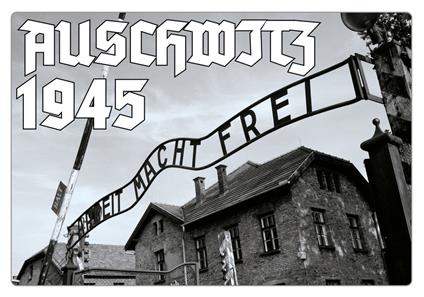 Auschwitz 1945 - Fabrizio Fedele - copertina