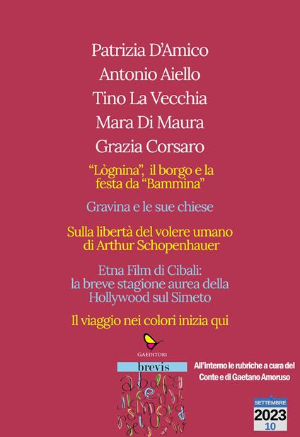 L'arte nell'arte. Catania, Gravina e i colori - Patrizia D'amico,Antonio Aiello,Tino La Vecchia - copertina