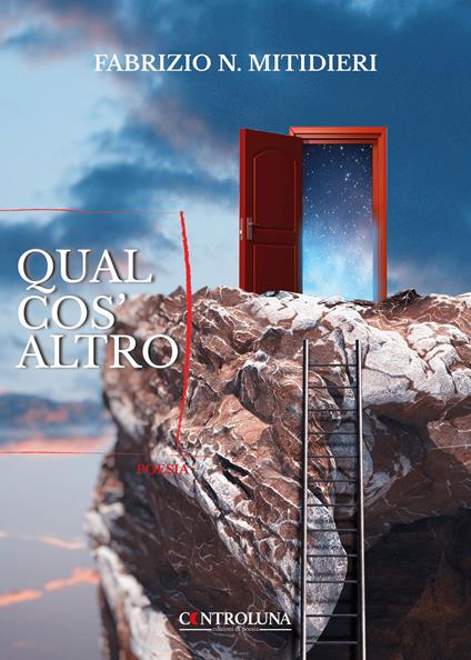 Qualcos'altro - Fabrizio N. Mitidieri - copertina