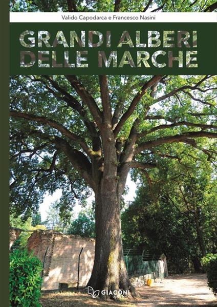 Grandi alberi delle Marche. Con Libro - Valido Capodarca,Francesco Nasini - copertina