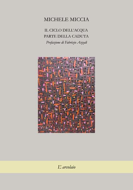 Il ciclo dell'acqua. Parte della caduta - Michele Miccia - copertina