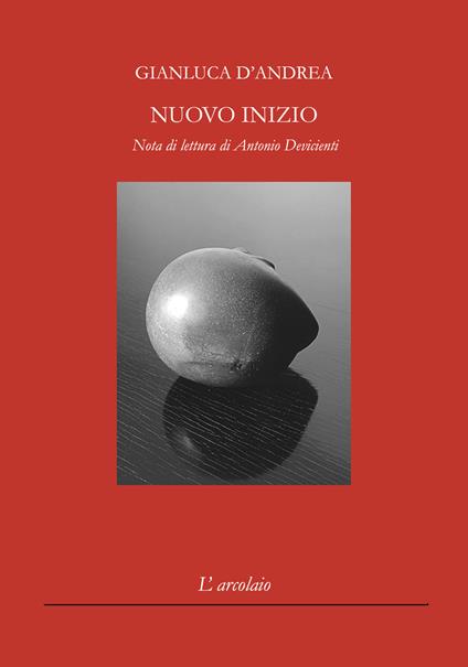 Nuovo inizio - Gianluca D'Andrea - copertina