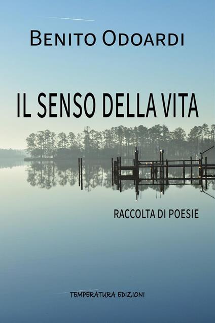 Il senso della vita - Benito Odoardi - copertina