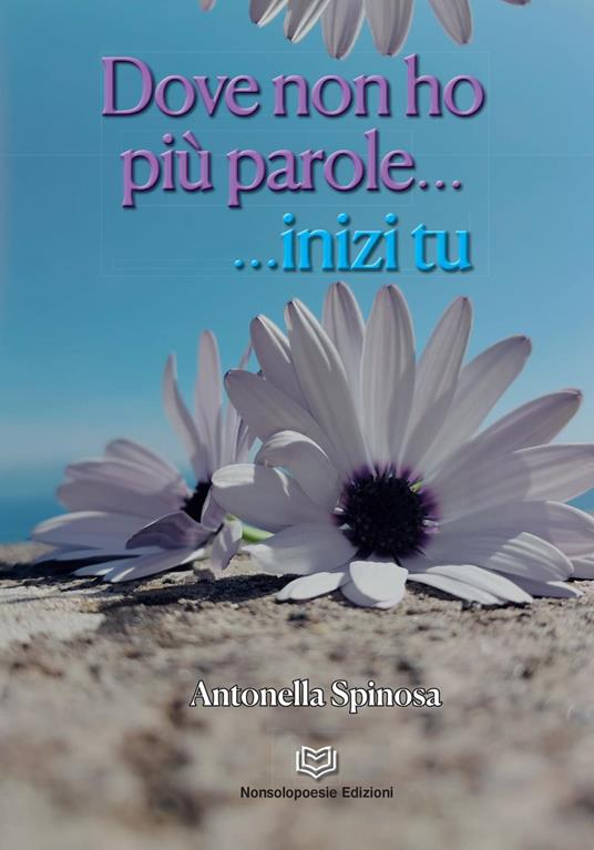 Dove non ho più parole...inizi tu - Antonella Spinosa - copertina