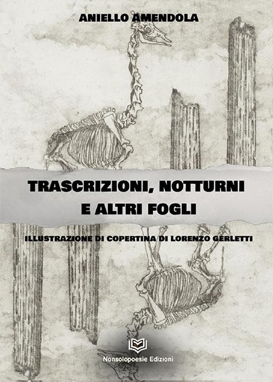 Trascrizioni, notturni ed altri fogli - Aniello Amendola - copertina