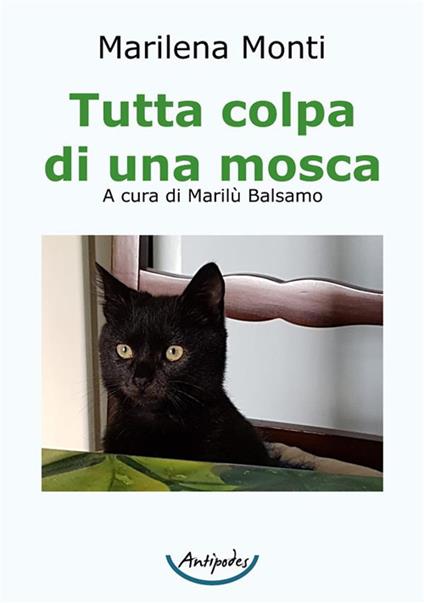 Tutta colpa di una mosca - Marilena Monti - copertina