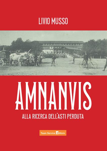 Amnanvis. Alla ricerca dell'Asti perduta - Livio Musso - copertina