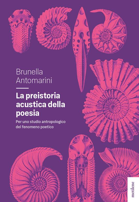 La preistoria acustica della poesia - Brunella Antomarini - copertina