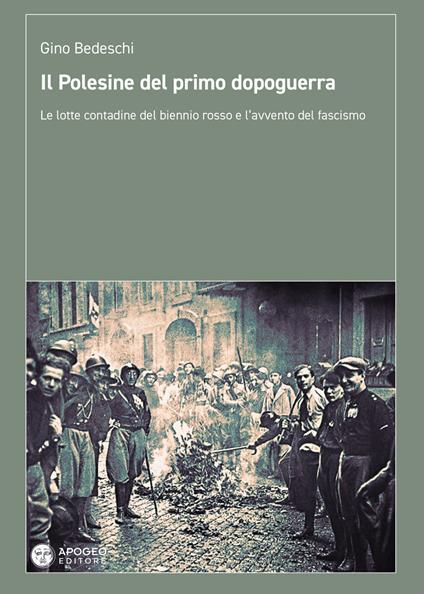 Il Polesine del primo dopoguerra. Le lotte contadine del biennio rosso e l'avvento del fascismo - Gino Bedeschi - copertina