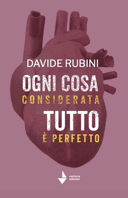 Ogni cosa considerata-Tutto è perfetto - Davide Rubini - copertina