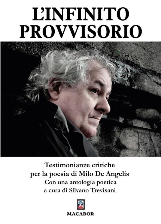 L'infinito provvisorio. Testimonianze critiche per la poesia di Milo De Angelis - copertina