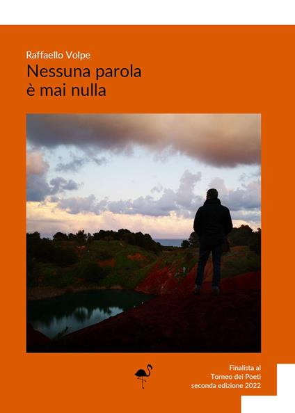 Nessuna parola è mai nulla - Raffaello Volpe - copertina