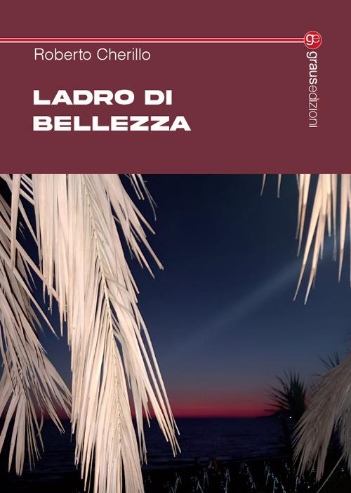 Ladro di bellezza - Roberto Cherillo - copertina