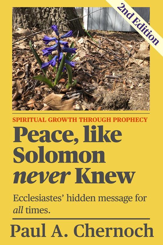 Peace, like Solomon never Knew, Second Edition