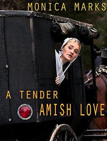 A Tender Amish Love